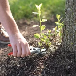 Leonard Deluxe Soil Knife, Pruner, Saw, And Sheath Combo -Garden Tools 1286 8 1 1