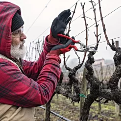 Felco 13 Multipurpose Pruning Shears - Use With 1 Or 2 Hands -Garden Tools 13fel in use 3