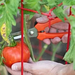 Leonard Pointed Tip Stainless Steel Hand Shears, 7.5-inch Length -Garden Tools 1503 3 1