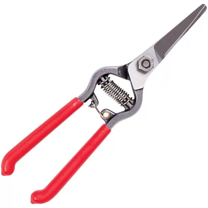 Corona; Forged Steel Straight Blade Shears, 8-inch Length 2 Corona; Forged Steel Straight Blade Shears, 8-inch Length - Image 2