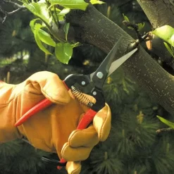 ARS Needle Nose Hand Shears, 7.5-inch Overall Length -Garden Tools 300l 5