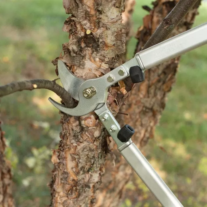 Leonard 24in Professional Lifetime Lopper 1.5in Capacity 4 Leonard 24in Professional Lifetime Lopper 1.5in Capacity - Image 4