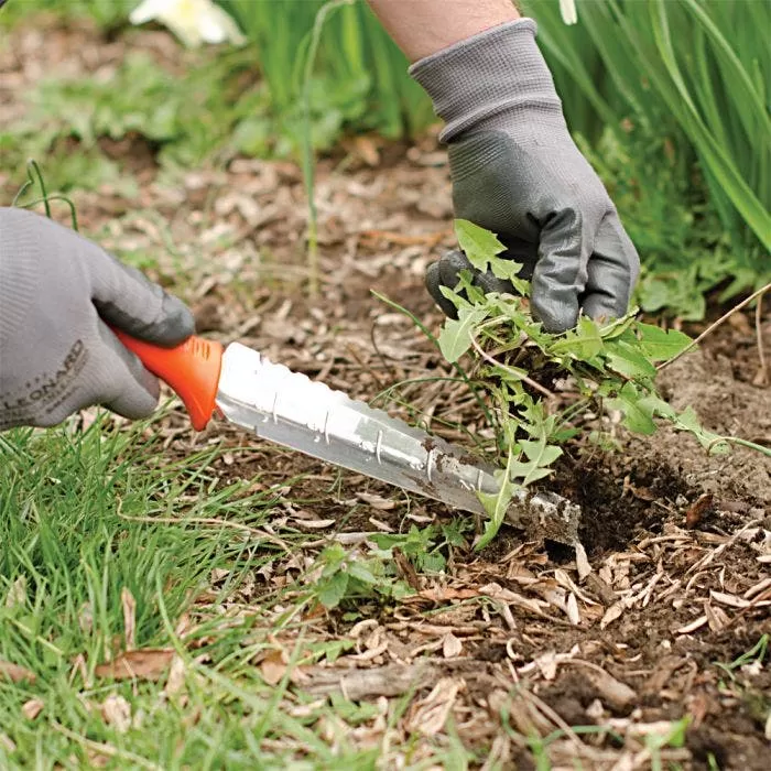 Leonard Stainless Steel Soil Tool 7 Leonard Stainless Steel Soil Tool - Image 7