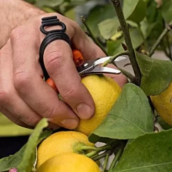 Leonard Harvesting Shear With Finger Strap 9 Leonard Harvesting Shear With Finger Strap -Garden Tools 512hv 4