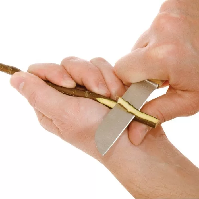 Dexter Jumbo Grafting Knife 3 Dexter Jumbo Grafting Knife - Image 3