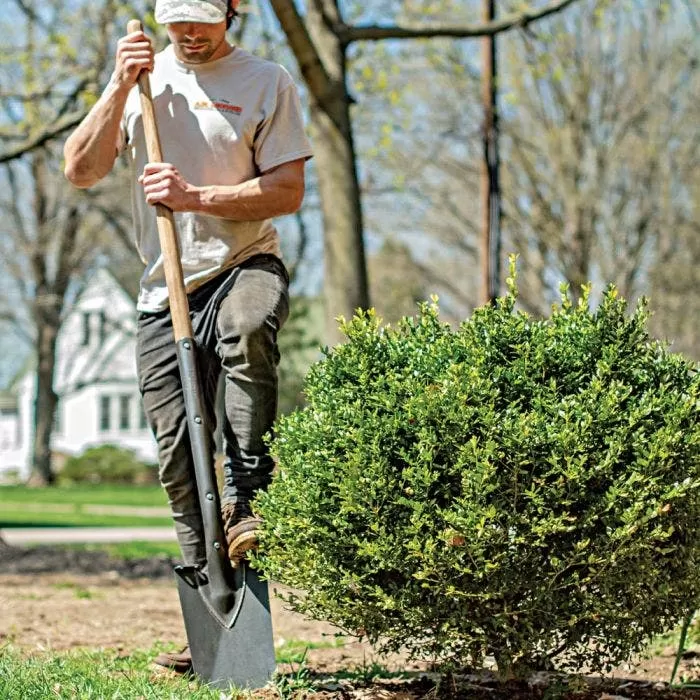 Leonard Classic Full-Strap Spade, Straight Handle 4 Leonard Classic Full-Strap Spade, Straight Handle - Image 4