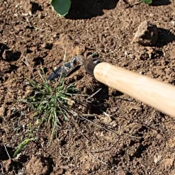 Leonard Cape Cod Weeder With 60" Wood Handle -Garden Tools acw60 3