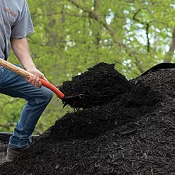 Leonard 10-Tine Forged Steel Scoop Fork With 48-Inch Straight Handle -Garden Tools amf10l 5 1