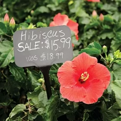 Blackboard Sign Stakes, 5" X 3" X 14.5" 6 Blackboard Sign Stakes, 5" X 3" X 14.5" -Garden Tools bb35a 2 1