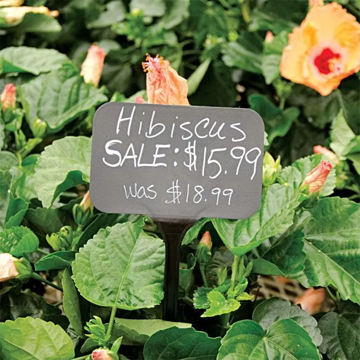 Blackboard Sign Stakes, 5" X 3" X 14.5" 4 Blackboard Sign Stakes, 5" X 3" X 14.5" - Image 4