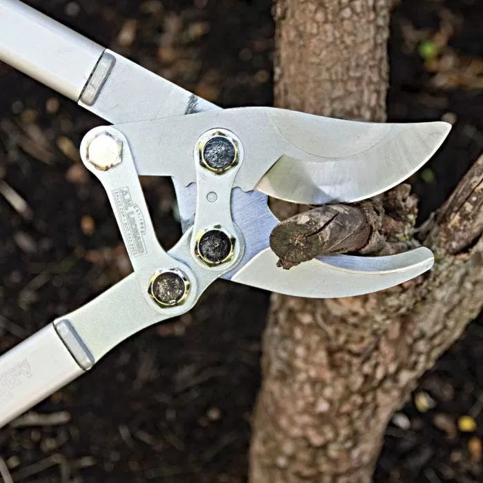 Leonard Compound Action Bypass Loppers, 2-1/8-Inch Cutting Capacity 4 Leonard Compound Action Bypass Loppers, 2-1/8-Inch Cutting Capacity - Image 4