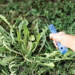 CobraHead Weeder And Cultivator, 13-inch Handle 8 CobraHead Weeder And Cultivator, 13-inch Handle -Garden Tools chead 3