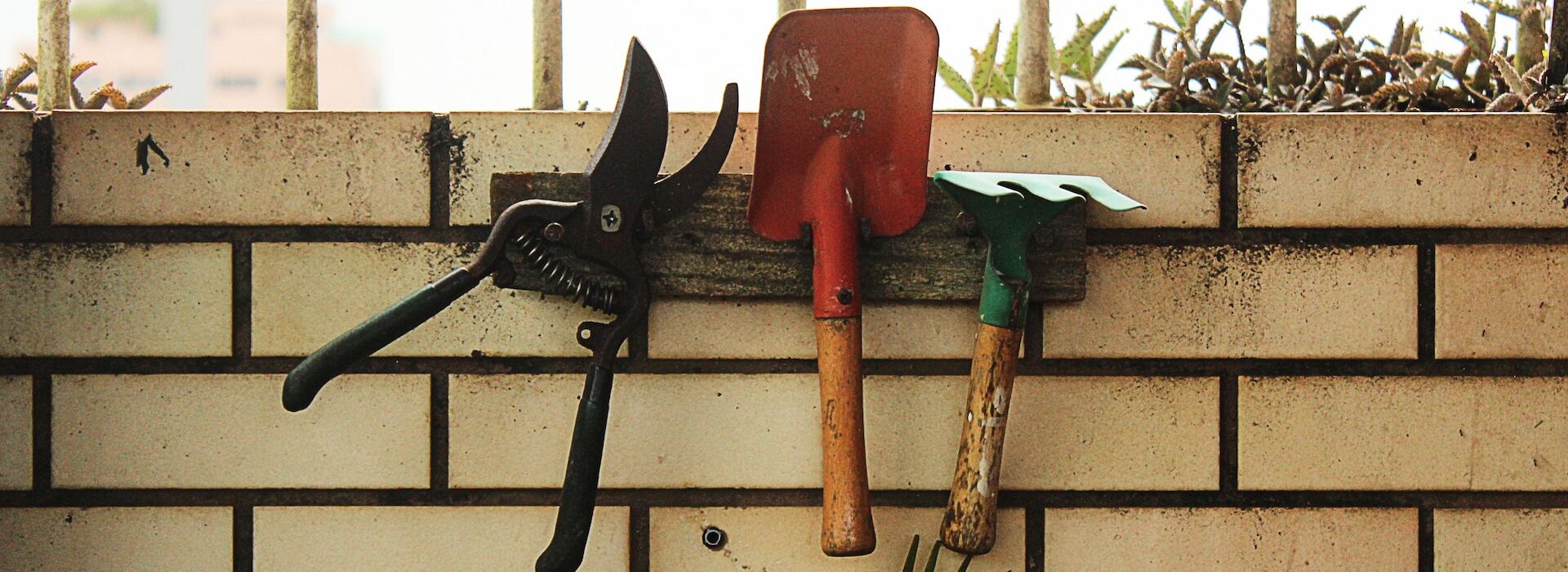 Garden Tools -Garden Tools david rangel dAeQlhD7zRk unsplash 1