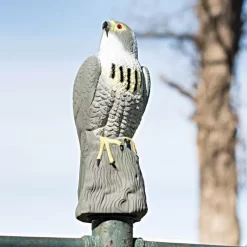 Bird-X Falcon Decoy 7 Bird-X Falcon Decoy -Garden Tools falcon 3