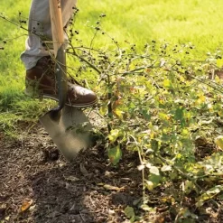 Leonard Forged Round Point Shovel With 48in Ash Handle -Garden Tools fw4 3