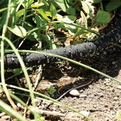 Soaker Hose, 5/8-Inch, 50-Foot Coupled Length 11 Soaker Hose, 5/8-Inch, 50-Foot Coupled Length -Garden Tools gw50 4