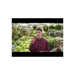 Leonard Stainless Steel Hand Shears, 6.375-inch Length -Garden Tools hqdefault 15 8