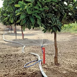 Maxijet Irrigation Ag Spray Stake Assembly, 12ft Diameter, Package Of 25 -Garden Tools max36 citrus fieldshot 1