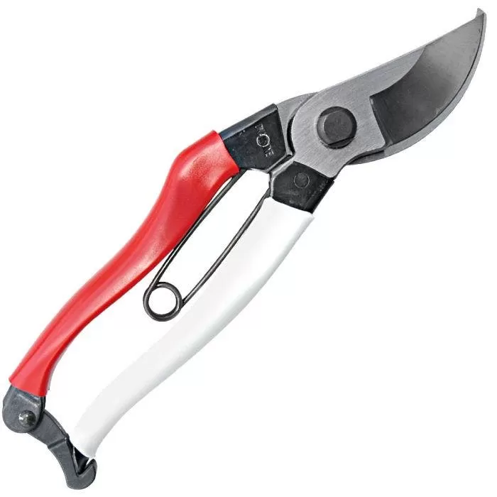 Okatsune Hand Pruners, 0.75-inch Cutting Capacity, 8-inch Length 1 Okatsune Hand Pruners, 0.75-inch Cutting Capacity, 8-inch Length