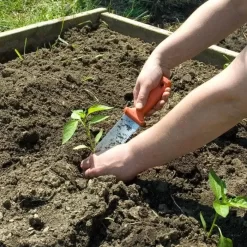 LEONARD 1235 PRUNER 4750 SOIL KNIFE SPK8 SHEATH COMBO -Garden Tools pk4c 7