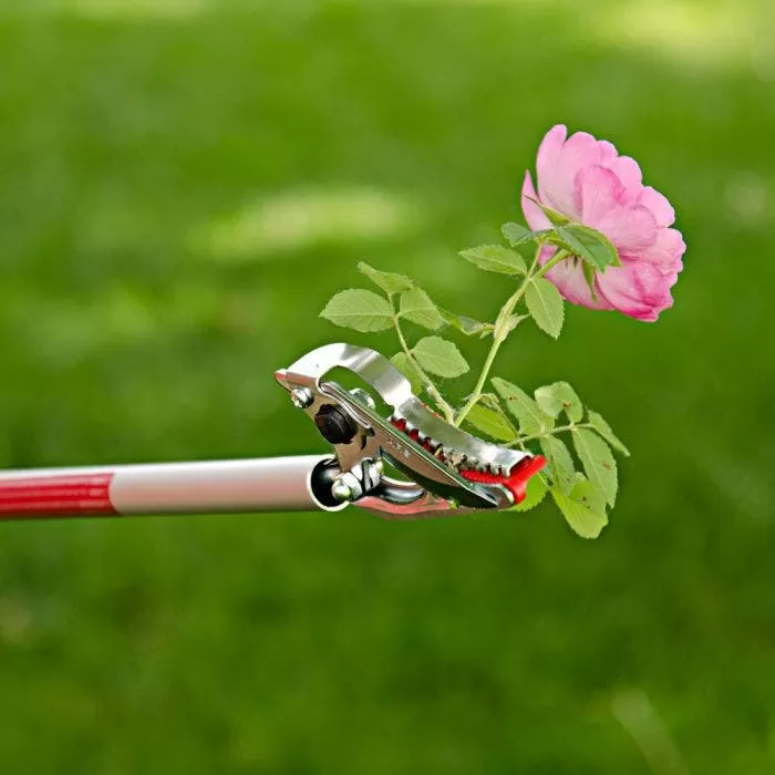 ARS LongReach Rose Pruner Fixed 2ft Cut & Hold 2 ARS LongReach Rose Pruner Fixed 2ft Cut & Hold - Image 2