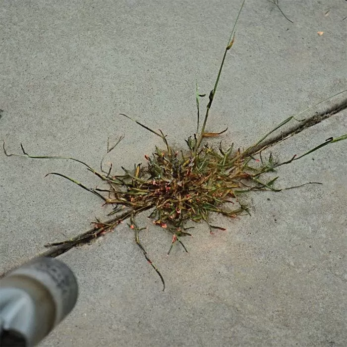 Red Dragon; 400,000 BTU Torch Kit 4 Red Dragon; 400,000 BTU Torch Kit - Image 4