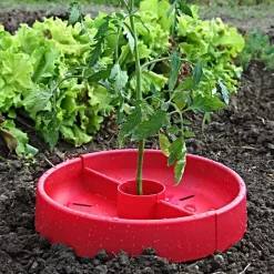 Tomato Crater, 3-pack -Garden Tools tc3 4