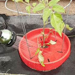 Tomato Crater, 3-pack -Garden Tools tc3 5