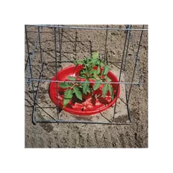 Tomato Crater, 3-pack -Garden Tools tc3 8