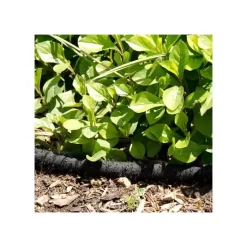Pro Series 5/8-inch Soaker Hose -Garden Tools vp gw 6