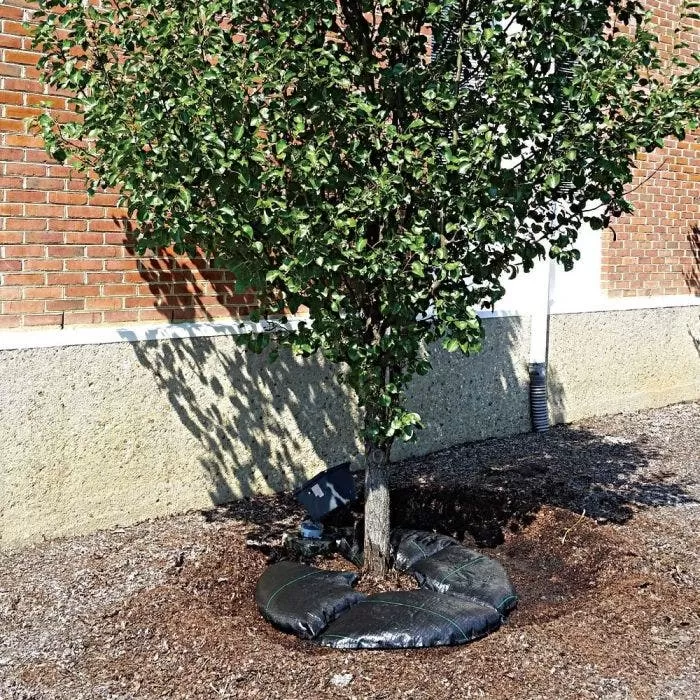 TreeDiaper Landscaper Pro Packs 4 TreeDiaper Landscaper Pro Packs - Image 4