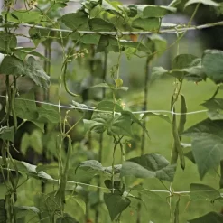 Hortonova Trellis Netting 17 Hortonova Trellis Netting -Garden Tools vp tnx 6