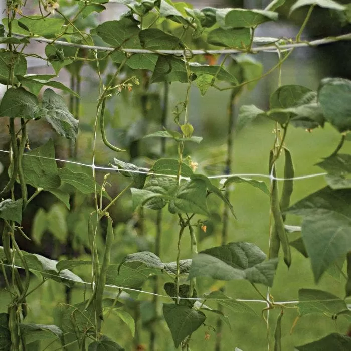 Hortonova Trellis Netting 7 Hortonova Trellis Netting - Image 7