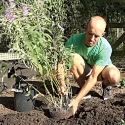 Vole King Plant Baskets -Garden Tools vp vkbasket 7