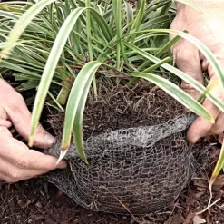 Vole King Plant Baskets -Garden Tools vp vkbasket 8