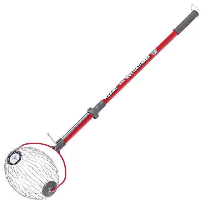 Large Weasel Nut Gatherer 2 Large Weasel Nut Gatherer - Image 2