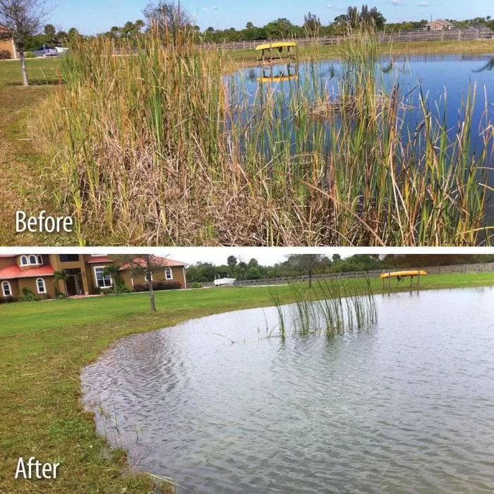 Weed Razer - The Original Lake Weed Cutter 3 Weed Razer - The Original Lake Weed Cutter - Image 3