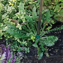 Weed Wand Magic Applicator -Garden Tools wwa 2