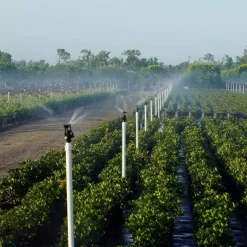 Wobbler Sprinkler Max Coverage 1/2in Standard 44.5-53.5 @ 1.5ft Above Crop Spray Diameter -Garden Tools xc10 12 2