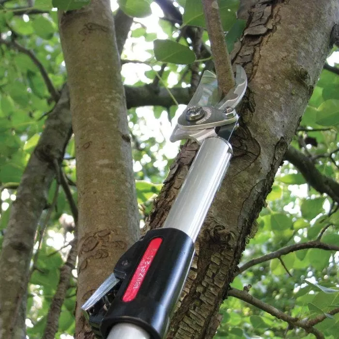 ARS Long-Reach Pruner, ZR Series, 4-7 Feet 5 ARS Long-Reach Pruner, ZR Series, 4-7 Feet - Image 5